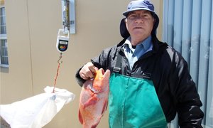 Birkenheaders se 3de Kompetisie